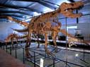 Das Dinosauriermuseum in Esperaza